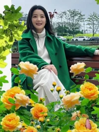 與往事和解
上船不思岸上人
下船不提船上事配圖
