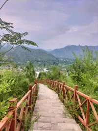 去山里走走看看，感覺視野開闊，滿足了自己想要親近大自然的心愿配圖