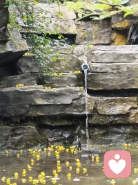 大部分情侶在一起就好像是西紅柿和土豆，原本就是兩個世界的人，但是土豆可以變成薯條，西紅柿可以變成番茄醬，這樣便能成為絕配，彼此理解和包容。配圖