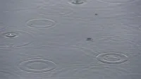 那雨，仿佛滴在心里，生起漣漪。配圖