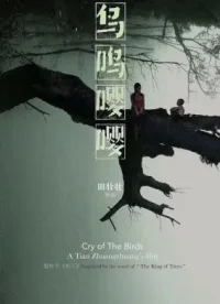 “伐木丁丁，鳥(niǎo)鳴嚶嚶。出自幽谷，遷于喬木。嚶其鳴矣，求其友聲”。期待！配圖
