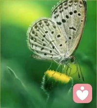 愛自己是最簡(jiǎn)單也是最復(fù)雜的事情。它不需要任何成本，卻需要一顆無畏的靈魂。我們每個(gè)人都是不完滿的，愛一個(gè)不完滿的自己是勇敢者的行為。配圖