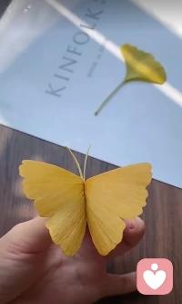 叔本华说：曾经愚蠢地以为歌唱得好，字写得好，文笔好、球打得好，抑或某一方面有特长，就是才华，后来才发现，灵魂的觉醒，思想的升华和人格的独立，才是真正的才华。配图