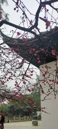 善待他人就是慈悲；善待自己就是智慧；善待生活就是修行。配圖