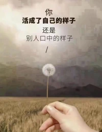 有些人认识一辈子也不一定了解对方，有的人可能只是看了一眼就能了解所有……配图