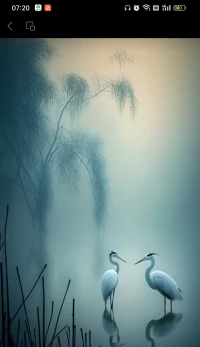 一輩子很短，一定要和喜歡的人在一起。配圖