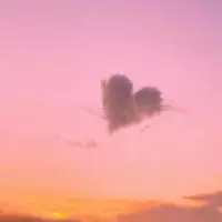 靈魂高級的人，或多或少都有些抑郁，而抑郁的本質是看穿后的那些善良。配圖