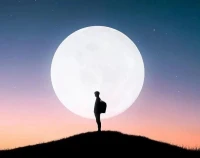想一想，人啊，這一輩子真不容易。復雜的社會，看不透的人心，放不下的責任，經歷不完的無奈，躲不過的虛偽，忙不完的今天，一生能相信誰，又能依靠誰……配圖