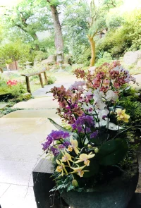 當你的靈魂，變得寧靜、和平、喜悅時，你的眼睛就有一種深度、清澈……它們變得如此透明，以至于你能夠看到一個人的靈魂……配圖