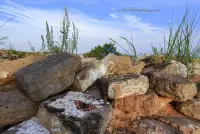 听着刀郎的《翩翩》，念着张养浩的潼关怀古，心中涌起莫名的惆怅之意，悲愤之情。配图