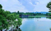 馬爾克斯說：“人生的本質，就是一個人活著。不要對別人心存太多期待，我們總是想要找到能為自己分擔痛苦和悲傷的人，可大多時候，我們那些驚天動地的傷痛，在別人眼里，不過是隨手拂過的塵埃。或許，成年人的孤獨，就是悲喜自渡，而這也正是我們難得的自由。”配圖