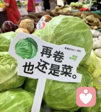 人生的意義在于探索這個世界，體驗這個世界，我們每個人的靈魂都是造物主的靈魂碎片，萬物一體的。按照自己喜歡的方式活著不就是最好的嘛！追隨自己的內心，至于其他的交給上帝就好，還要奢求什么呢……配圖