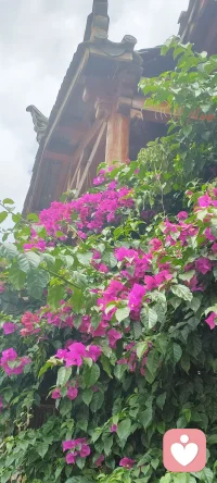 所謂生活，便是將前行的腳步放緩，這樣才不會(huì)忽略了身邊的風(fēng)景……配圖