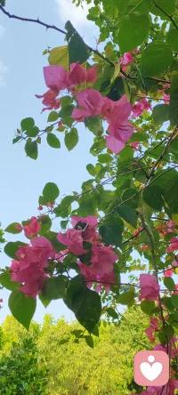 當你的靈魂變得寧靜、和平、喜悅時，你的眼睛就有一種深度，清澈、純潔、天真。它們變得如此透明，以至于你能夠看到一個人的靈魂。——尼采配圖