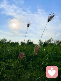 在這個世界上的任何人和事，時間終會給我們答案，在細水長流的日子里，不說永遠，只談珍惜……配圖