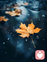 做人一定要做讓人放心的人，
無論認識多少年，
都能由衷的感嘆一句，認識你真好，
人與人之間最大的吸引力，
不是你的容顏，不是你的財富，
也不是你的才華，
而是你傳遞給對方的信賴和踏實，真誠和善良。
?如果一個人讓另外一個人心里有不踏實的感覺，還是離開為好配圖