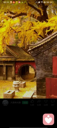 秋，你好！配圖