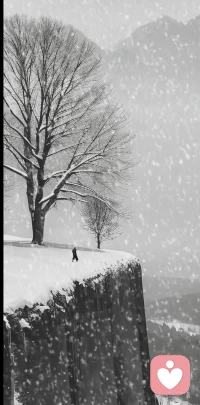 于我而言，生命的本質不是茍活。倘若靈魂得不到解脫，活著也不過是行尸走肉，這樣的人生是沒有任何意義的。
世人以為我追求的是虛無縹緲的東西，可是有幾個人能夠理解其中真正的含義？
真正懂得的人，無需任何言語；不懂的人，再多的言語也是徒勞。知我者謂我心憂，不知我者謂我何求......配圖