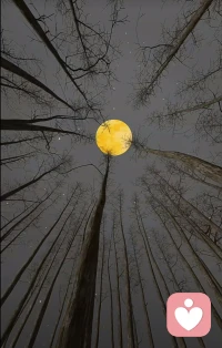 有些人的美好浮于表面，等風一吹雨一淋再看不過如此。而有些人的美好是隱藏在骨子里的，剝開一層有一層的歡喜。我追索靈魂的深度，卻看到了人心的淺薄，自然不屑為伍，何懼與眾不同。配圖