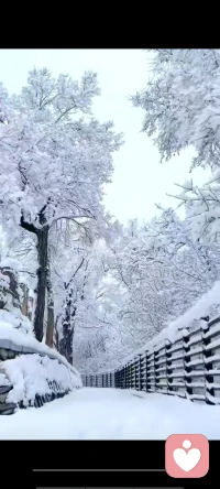 照顧好自己的健康和情緒，這場人生，你就贏了一大半，其余的其余，人生自由安排。配圖