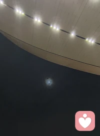 “在我们这块土地上的这些人，终其一生，大多所行，不过苟且二字，所谓风光，不过苟且有术；而行路坎坷，不过是苟且无门，基本不过如此而已”。——陈寅恪配图