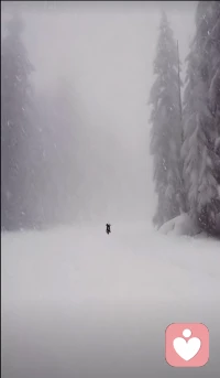 说一个人干净，并非是指这个人不食人间烟火，不与世俗有染，而是指这个人心灵深处有净土，有所为有所不为，灵魂由内而外的通透，不违背常理，不违背良知，不违背道义……配图