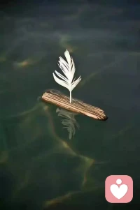 進退自如，上下隨心。配圖