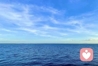 終有一天你會發現，隨著年齡的增長，伴隨著經歷多了，會漸漸地懂得，活在這個世界追求的東西真的不要太多。能夠有一個穩定的情緒，擁有一顆淡然的心，甚過世間萬物！

簡單到極致，純粹到天真，才是可望不可及的狀態，而這樣的生活狀態才是平凡人最大的幸福。雖然碌碌無為……

可那又怎樣呢，人生本過客，何必千千結！生命本就是一個過程，糾結越多活得越累。返璞歸真，回歸到最初的模樣才是對無奈生命最好的報復！配圖