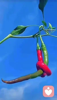 人生领悟:如果找男女朋友，一定要找本身就是好人的人，而不是对你好的人，因为本身就是好人的人，他有教养，有底线；而对你好的人，一旦对你不好了，他可能毫无底线。配图