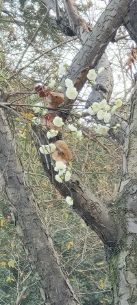 父愛則母靜，母靜則子安，子安則家和，家和萬事興；父懶則母苦，母苦則子懼，子懼則家衰，家衰敗三代。配圖