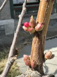 很喜歡一句話：
我若不堅強，誰替我勇敢！

說過永遠相伴的人
會走散在紅塵的渡口

說聲再見后  再也不見
輕輕轉身  便是天涯

人與人之間的緣分
或曇花一現  或靜水細流

真正的友情
是潤物細無聲  是天涯若比鄰
各自忙碌  彼此牽掛........配圖