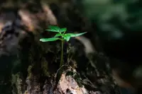 不要嘲笑一个有信仰的人，因为她双手合十的祷告里有你。也不要嘲笑没有信仰的人，因为他还没有找到回家的路。配图