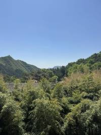 尼采说：我们来到这个世上，就应该跟最好的人，最美的事物，最芬芳的灵魂倾心相见，唯有如此才不负生命一场！配图