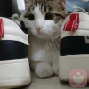 永远热泪盈眶
