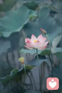 每個人都至少有3個自我。一個是由基因決定的，一個是在環(huán)境與文化影響下的，還有一個，是由我們自己所追求的「人生目標」與「價值」所定義的，而最后這一個，才是最重要的、完全屬于自己的自我。我們不停地回溯過去，探索原生家庭，其實只是為了理解“我是怎么成為現(xiàn)在的樣子的。”?而此刻以及未來的時間，“我該怎么過”——這完全取決于你自己。?那些吃過的苦，受過的傷，也許塑造了你的一部分。?但你相信嗎？配圖