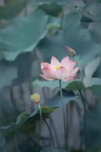 什么才是真正的“愛自己”?對現在的自己好點，也不要給未來的自己添太多麻煩，未來的自己，也需要被照顧。配圖