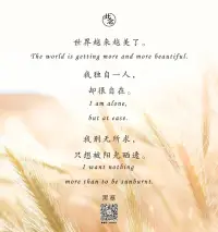 托尼·惠勒：当你下定决心准备出发时，最困难的时刻就已经过去了。配图