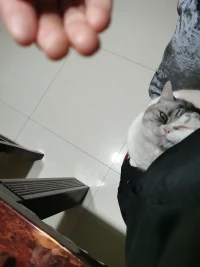 不亲人的土霸王都懂我的心事，安慰着我。