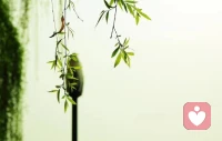 愛能讓人們不孤獨(dú)，真正愛我們的人，會(huì)始終站在我們這邊。給予我們支持。允許我們依賴。陪伴我們勇敢。如果趕不走烏云，就陪我們一起淋雨；如果對(duì)抗不了全世界，那就互相成為彼此的世界。配圖