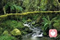 没有两片完全相同的树叶，也没有两个完全相同的人，我们都是独一无二的，不可替代的配图