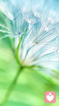 你现在的梦想是什么呢？可以说说吗？配图