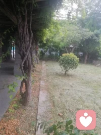 一生至少該有一次，為了某個人而忘了自己，不求有結果，不求同行，只求曾經擁有，只求在我最美的年華里遇到你……”配圖