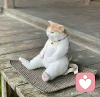 沒什么是本來就應(yīng)該屬于你的，所以，失去時稍微難過一下就好，遺憾是常態(tài)。配圖