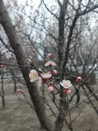 CBT是一種通過改變不良認知和行為模式來解決心理問題的療法。它強調認知、情緒和行為之間的相互作用，并致力于幫助患者識別和改變其負面的、不切實際的思維模式。正確核心信念強調療法則是在CBT的基礎上，更加注重對患者核心信念的挖掘和強化，以達到更快速、更有效的治療效果。正確核心信念強調療法認為，每個人的內心深處都有一套核心信念系統，這些信念影響著我們對世界的看法和反應。當這些核心信念受到挑戰或動搖時，個體可能會出現心理問題。因此，該療法致力于幫助患者發現和強化其正確的核心信念，從而增強其心理韌性和自我效能感。