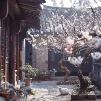 你是否經常感到內耗？心理學告訴我們，這種困擾與我們內心的沖突、不確定以及完美主義有著密切關系。內耗來源于我們內心對自己和環境的不滿，這種自我懷疑和過度反省會消耗大量的精力和時間。

首先，內耗常常是因為我們在做決定時缺乏自信。我們害怕犯錯，怕承擔責任，于是不斷在心中進行假設和推演，最后無所適從。其次，完美主義也是內耗的一大原因。試圖做到每件事情都完美無瑕，實際上是不現實的，這種追求只會讓自己陷入自我批評和焦慮的循環中。

此外，缺乏明確的目標和計劃也會增加內耗。沒有清晰的方向，我們容易在選擇和行動中猶豫不決，而越是猶豫，就越難以采取實際行動，從而陷入內耗的惡性循環。

解決內耗的問題，需要從心理層面進行調整。學會接受不完美，增強自我肯定，同時制定具體而實際的目標和計劃，可以有效減少內心的沖突和困擾，讓我們有更多的精力去追求真正重要的事情。