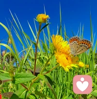 今日秋分愿每一季時光都能溫柔以待每個人發(fā)現(xiàn)生活中的美好配圖