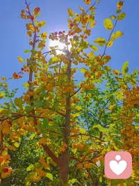 今日秋分愿每一季時光都能溫柔以待每個人發(fā)現(xiàn)生活中的美好配圖