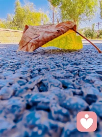 今日秋分愿每一季時光都能溫柔以待每個人發(fā)現(xiàn)生活中的美好配圖