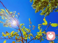 今日秋分愿每一季時光都能溫柔以待每個人發(fā)現(xiàn)生活中的美好配圖