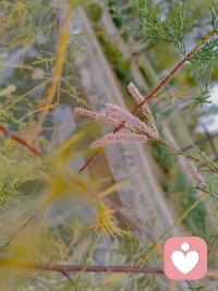 每個人的心里都需要自然賦予你的感覺

那是一點光、一點生機、一點希望


?配圖